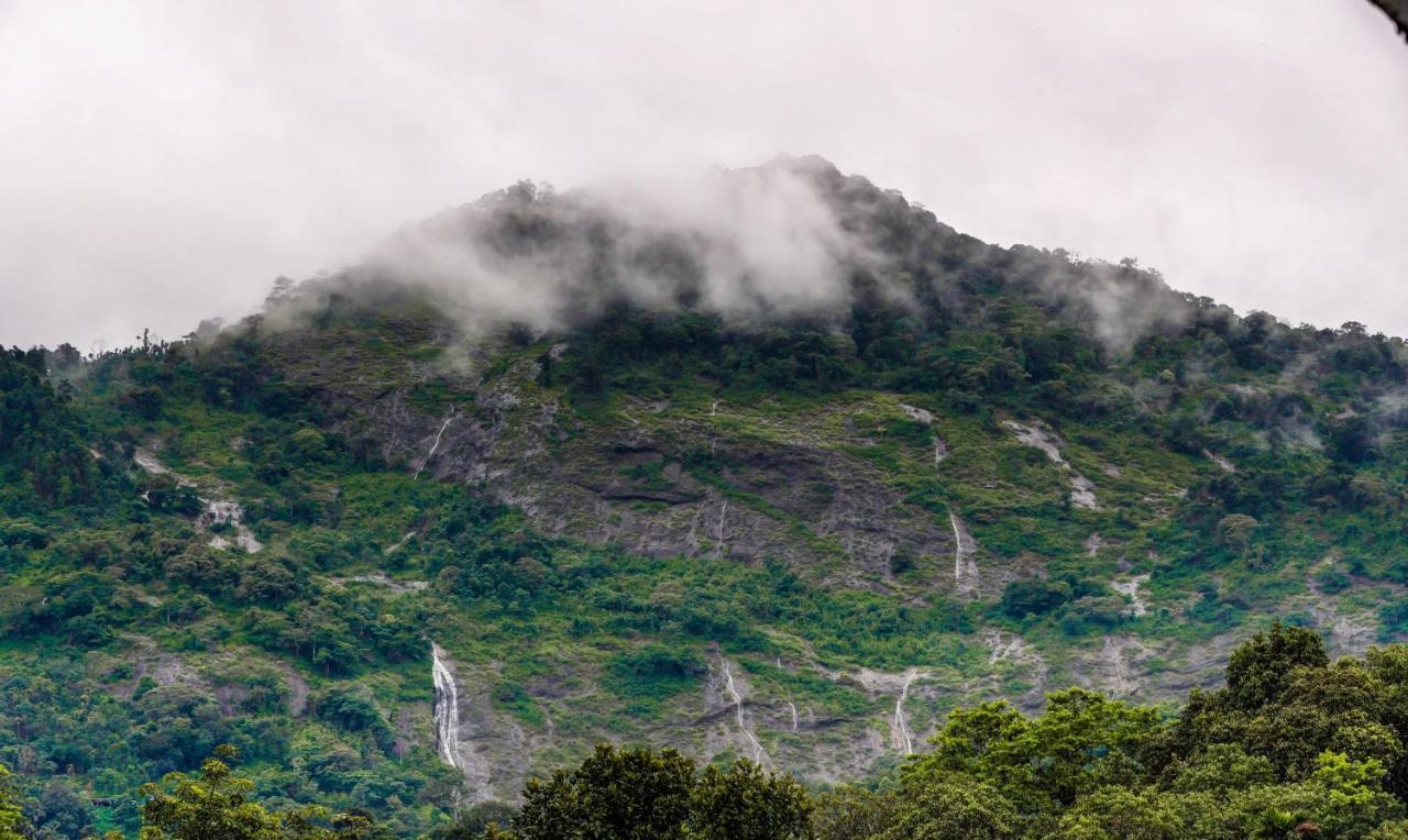 Treebo Trend Misty Garden Resorts With Mountain View Munnar Kültér fotó