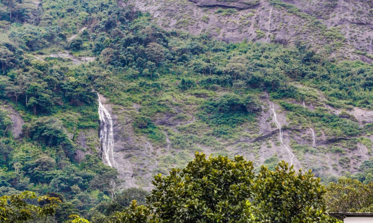 Treebo Trend Misty Garden Resorts With Mountain View Munnar Kültér fotó