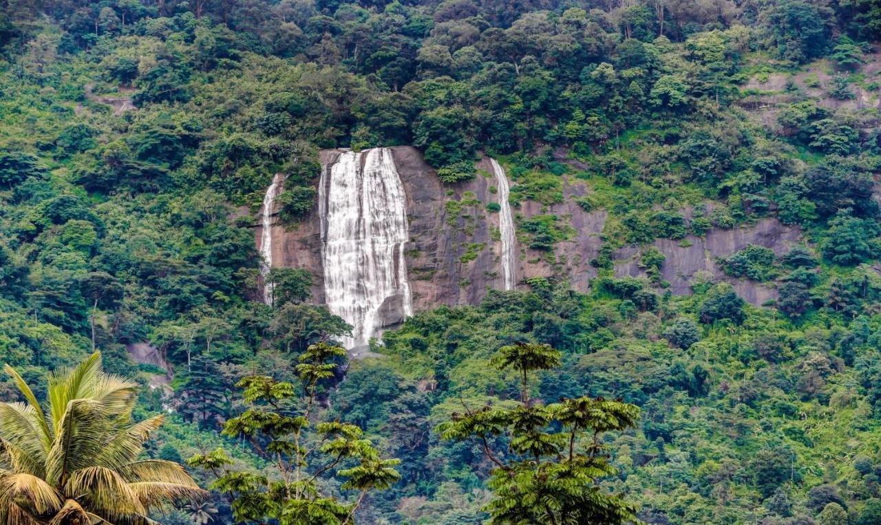 Treebo Trend Misty Garden Resorts With Mountain View Munnar Kültér fotó